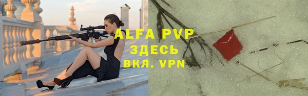 ешки Гусев