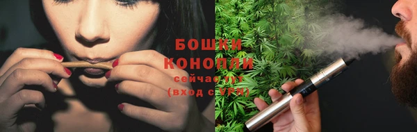 ешки Гусев