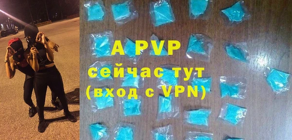 ешки Гусев