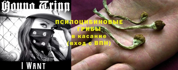 круглые Гусь-Хрустальный
