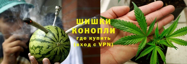 ешки Гусев